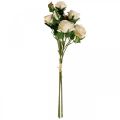 Floristik24 Deco Roses Crema Rosas Artificiales Flores De Seda 50cm 3pcs