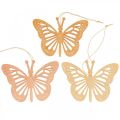 Floristik24 Deco mariposas percha decorativa naranja/rosa/amarillo 12cm 12uds