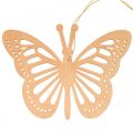 Floristik24 Deco mariposas percha decorativa naranja/rosa/amarillo 12cm 12uds