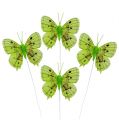 Floristik24 Deco mariposas verdes 8cm 6pcs