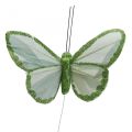 Floristik24 Mariposas decorativas mariposas de plumas verdes en alambre 10cm 12pcs