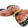 Floristik24 Deco mariposas con clip B4.5–11.5cm 10pcs marrón naranja