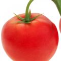 Floristik24 Deco tomate panícula chupete comida roja tomate L15cm