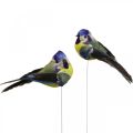 Floristik24 Deco Birds on Wire Muelle Deco Blue Tit 10×3cm 9pcs