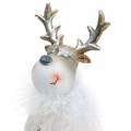 Floristik24 Figura decorativa ciervo blanco 17cm