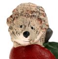 Floristik24 Figura para decorar erizo sobre manzana 7,5cm de cerámica
