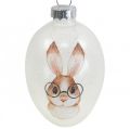 Floristik24 Deco percha vidrio deco huevos conejo con gafas brillo 5x8cm 6pcs