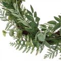 Floristik24 Guirnalda decorativa corona artificial eucalipto abeto oliva Ø45cm