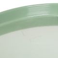 Plato decorativo redondo verde sobre soporte para mesa, 30 cm. | Floristik24.es