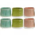 Floristik24 Macetero de cerámica, macetero mini, decoración de cerámica, maceta decorativa, patrón de cesta menta / verde / rosa Ø7,5cm 6ud