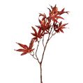 Floristik24 Deco rama roja oscura con mica 52cm
