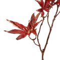 Floristik24 Deco rama roja oscura con mica 52cm