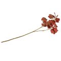 Floristik24 Deco rama deco hojas árbol de sebo artificial hojas rojas 72cm