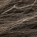 Ramas decorativas ramas decorativas naturales de tomillo secas 500g | Floristik24.es