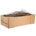 Ramas decorativas ramas decorativas naturales de tomillo secas 500g | Floristik24.es