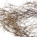 Floristik24 Deco ramas Arbusto de hierro ramas decoración natural madera naturaleza 250g