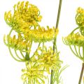 Floristik24 Eneldo amarillo Planta de hierba artificial Eneldo para decorar L80cm