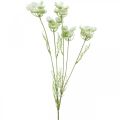 Floristik24 Eneldo en flor, planta artificial, hierbas artificiales verde, blanco L80cm