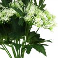 Floristik24 Eneldo en flor, hierbas artificiales, planta decorativa verde, blanco 49cm 9 piezas