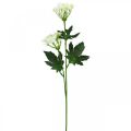 Floristik24 Eneldo en flor, hierbas artificiales, planta decorativa verde, blanco 49cm 9 piezas