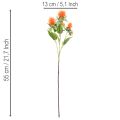 Cártamo artificial naranja como flor artificial para jarrones y decoración, 55 cm, 4 piezas | Floristik24.es