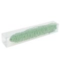 Floristik24 Cordón de fieltro hilo mecha verde claro 55m