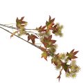 Rama artificial de liquidámbar otoñal con hojas y racimos de frutos, 132 cm. | Floristik24.es