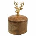 Floristik24 Caja de madera de mango con cabeza de ciervo dorado Ø10cm H15cm