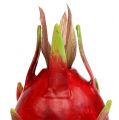 Floristik24 Fruta del dragón 15cm rojo 1pc