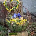 Floristik24 Cesta de alambre, jardinera de metal, decoración primaveral, cesta de Pascua marrón, pátina AL34cm L30cm