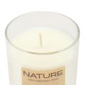 Floristik24 Vela perfumada en vaso de cera natural Wenzel Candles Magnolia 85×70mm