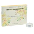 Floristik24 Velas perfumadas velas de té de almizcle blanco vainilla Ø3,5cm 12ud