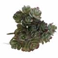 Floristik24 Echeveria suculenta verde oscuro 21cm 3pcs