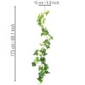 Guirnalda de hiedra artificial para decoración de habitaciones, 173 cm. | Floristik24.es