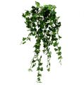 Floristik24 Percha Ivy verde 90cm