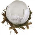 Floristik24 Decoración de Pascua, huevo en el nido, huevo decorativo, nido de pájaro Ø9cm H10cm blanco, colores naturales 4pcs