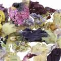 Floristik24 Conjunto de artesanía de decoración en seco popurrí de flores naturales de malvavisco real de 300g