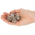 Bellotas, producto natural para decoración, blanqueadas, 1-3 cm, 300 g | Floristik24.es
