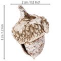 Bellotas, producto natural para decoración, blanqueadas, 1-3 cm, 300 g | Floristik24.es
