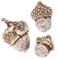 Bellotas, producto natural para decoración, blanqueadas, 1-3 cm, 300 g | Floristik24.es