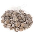 Bellotas, producto natural
