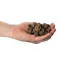 Cáscaras de bellota naturales, cuencos decorativos para otoño y Adviento, 2 cm, 300 g | Floristik24.es