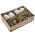 Floristik24 Mezcla de huevos de decoración huevos de codorniz y huevos de gallina Huevos de Pascua soplados