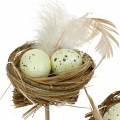 Floristik24 Enchufe decorativo nido de pájaro, decoración de Pascua, nido con huevos 23cm 6pcs