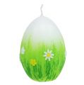 Floristik24 Velas de huevo blancas con estampado 6,5cm 6uds