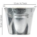 Cubo de Ø12cm H10cm, 8 unidades. Zinc, brillante. | Floristik24.es