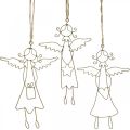 Floristik24 Angel colgante navidad angel alambre figuras oro 15cm 6pcs
