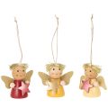 Floristik24 Colgante decorativo de ángel con estrella para colgar, 5 cm, 9 piezas
