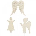 Floristik24 Adviento tapón ángel, alas para pegar, ángel de madera, decoración navideña natural, blanco, purpurina dorada 18ud