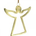 Floristik24 Colgantes de metal, ángeles decorativos, adorno dorado de adviento 15 × 16,5 cm